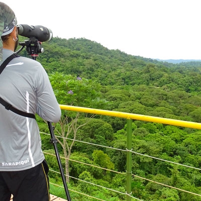View from EcoVida hawk watch tower