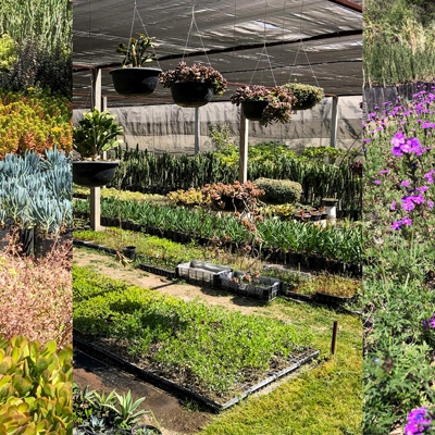 Vivero La Huerta