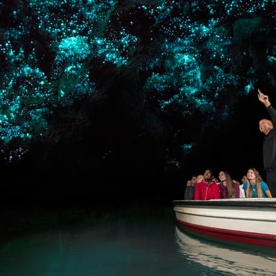 Waitomo Glowworm Caves