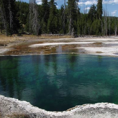 Thumb Geyser Basin at Yellowstone Lake