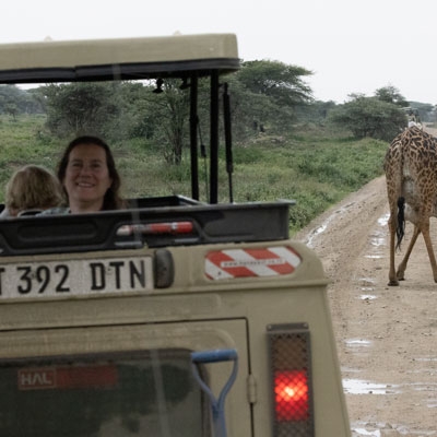 Wildlife-viewing drive