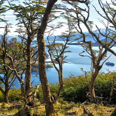 Wulaia Bay