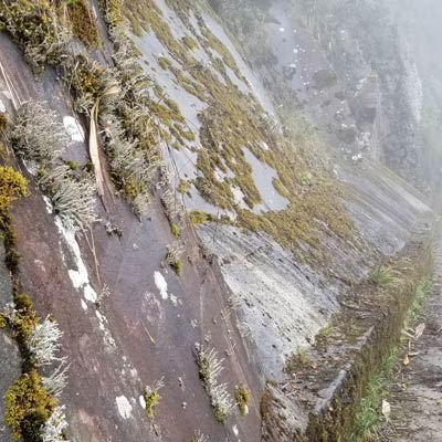 Yanacocha Path