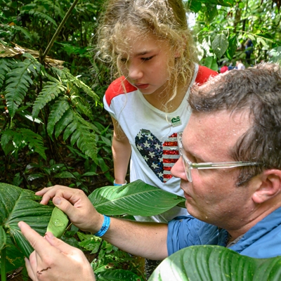 Rainforest activity