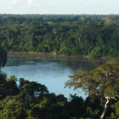 Amazon rainforest