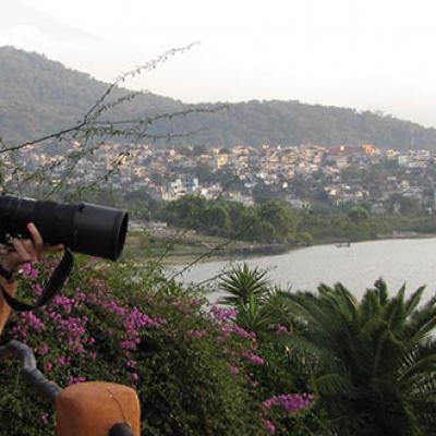 Birding at the lake