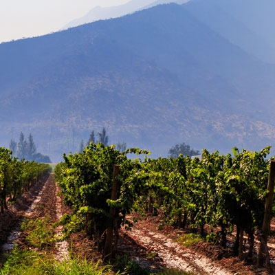Maipo Valley