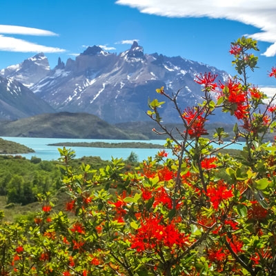 Torres del Paine