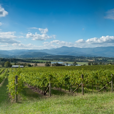 Yarra Valley