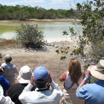 Birding in Zapata Peninsula