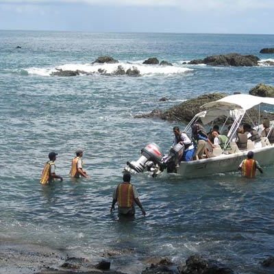 Students assisting with marine mammal research