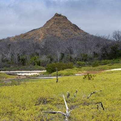 Dragon Hill, Santa Cruz Island