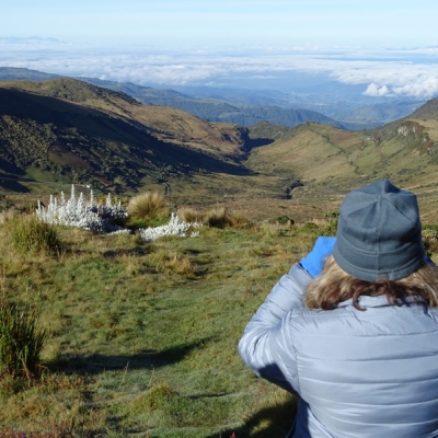 Birding in Colombia