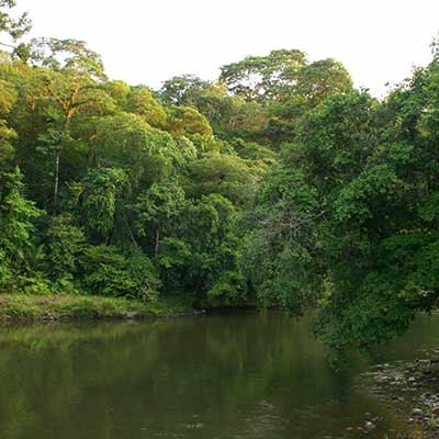 Sarapiquí River