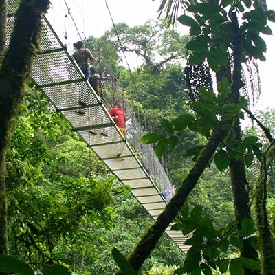 Suspension bridge at Selva Verde Lodge