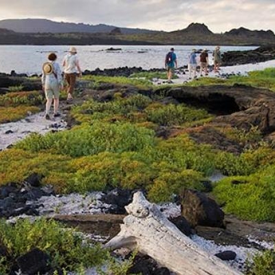 Go with a group to the Galapagos