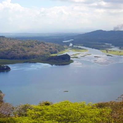 Birding in Gamboa Rainforest 