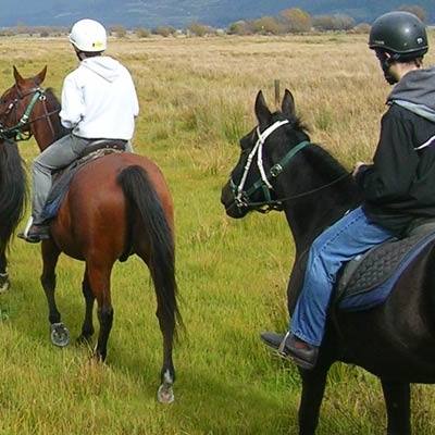 Horseback riding