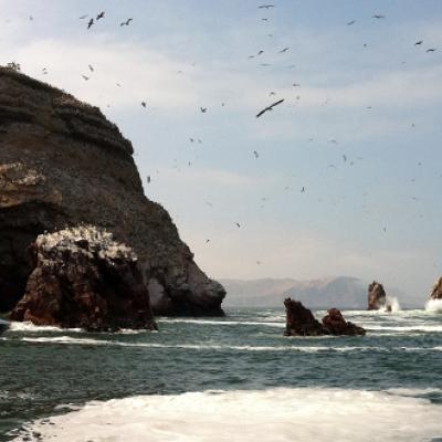 Ballestas Island