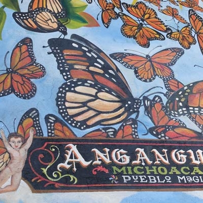 Monarch art in Angangueo