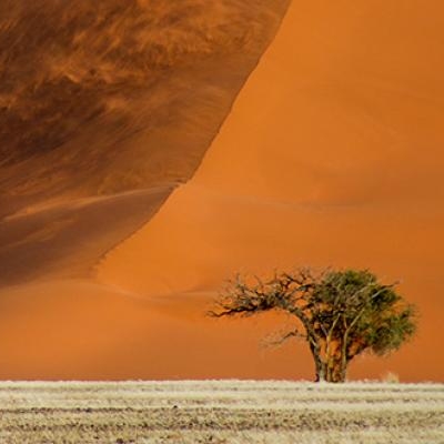 Sand dunes