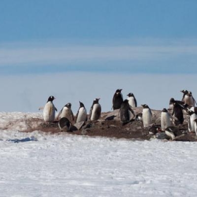 Photography in Antarctica