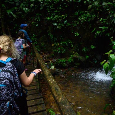 Rainforest hike