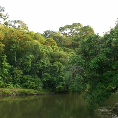 Sarapiqui River