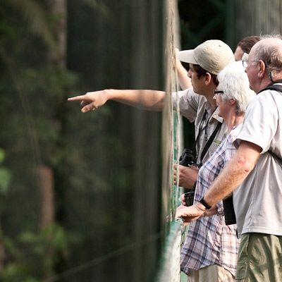 Suspension bridge at Selva Verde Lodge