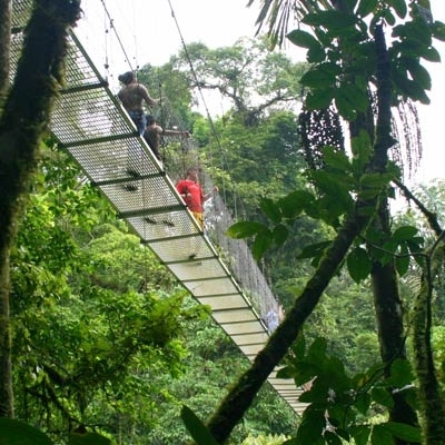 Suspension bridge at Selva Verde Lodge