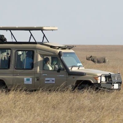Wildlife-viewing drive