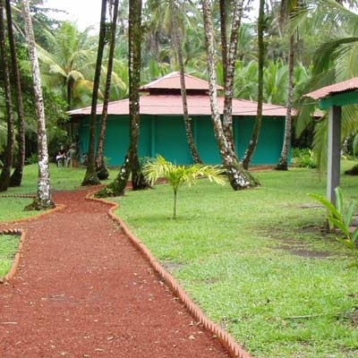 Sea Turtle Conservancy grounds