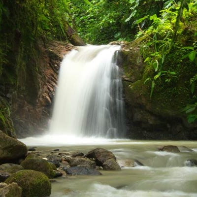 Waterfall in Podocarpus National Park