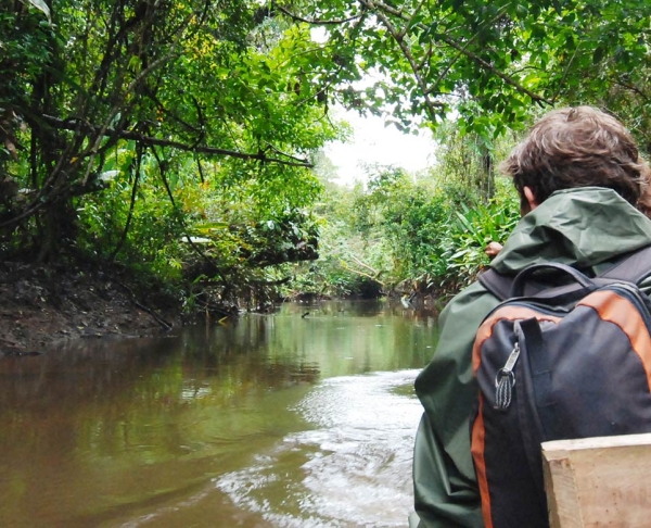 Travelers in a boat on a river with trees overhead