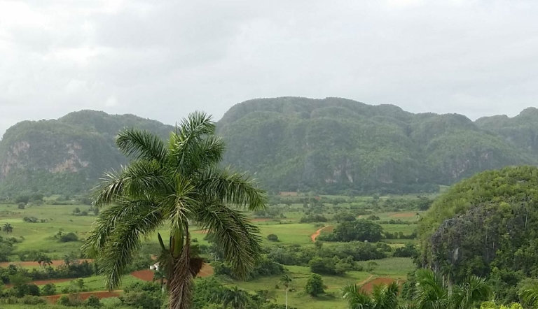 View from Hotel Los Jazmines 