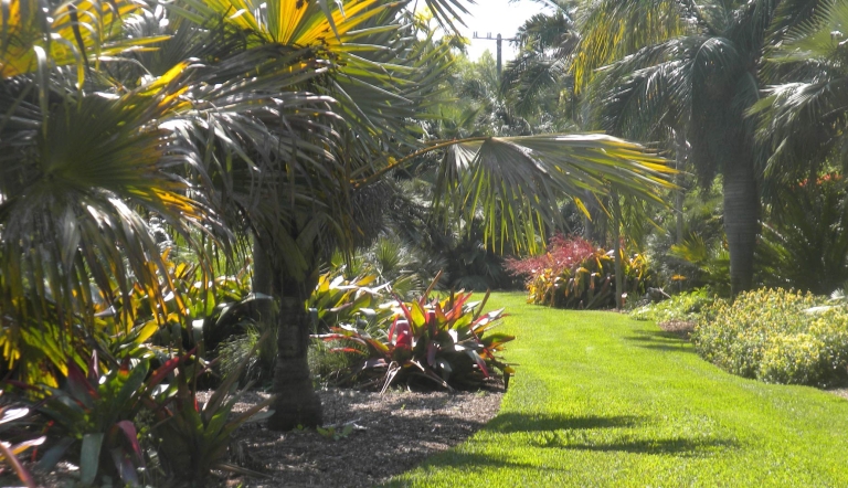 A manicured lawn pathway leads through various tropical plants