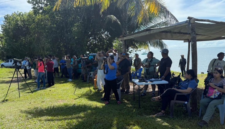 Large group of people gather for birding