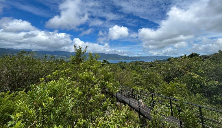 An elevated walkway surrounded by low trees and shrubs with a lake in far background and blue sky with puffy clouds