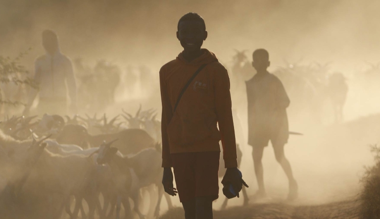 A person walks on a dusty dirt road with a herd of goats in the background