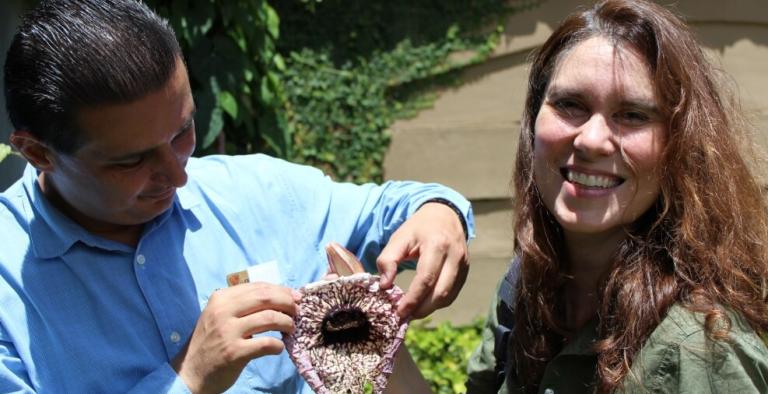 What you can do to help.