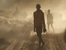 A person walks on a dusty dirt road with a herd of goats in the background