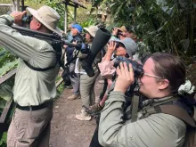 Multiple people on a forest trail look through binoculars and scopes at something outside the frame