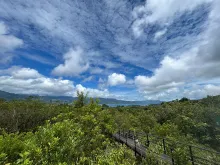 An elevated walkway surrounded by low trees and shrubs with a lake in far background and blue sky with puffy clouds