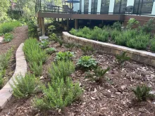 Office building with elevated deck and tiered landscaping